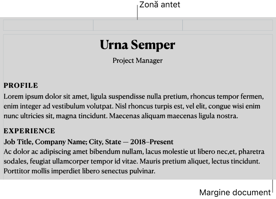 Vizualizare Aranjament afișând zona antetului și marginile documentului.