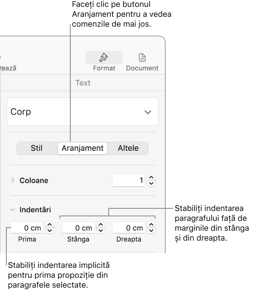 Comenzile din secțiunea Aranjament a barei laterale Format pentru configurarea indentării primei linii.