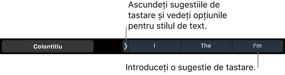 Bara Touch Bar de pe MacBook Pro, cu comenzi pentru alegerea unui stil de text, pentru ascunderea sugestiilor de scriere și pentru inserarea sugestiilor de scriere.