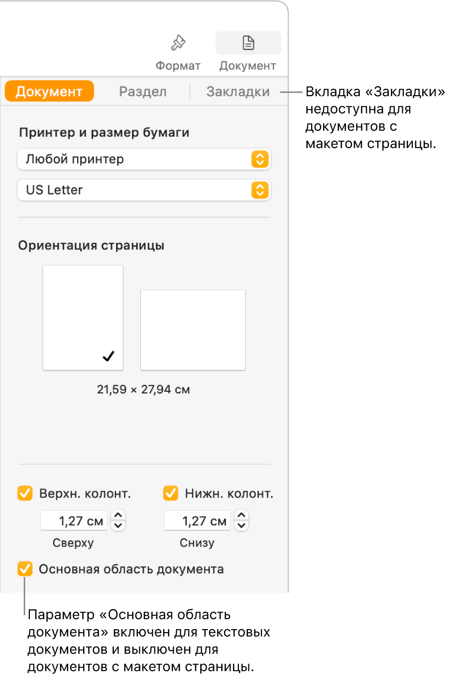 Боковое меню «Формат» со вкладками «Документ» «Раздел» и «Закладки» вверху. Выбрана вкладка «Документ», и в выноске, указывающей на вкладку «Закладки», сказано, что в документах с макетом страницы нет вкладки «Закладки». Установлен флажок «Основная область документа». Это также означает, что документ текстовый.