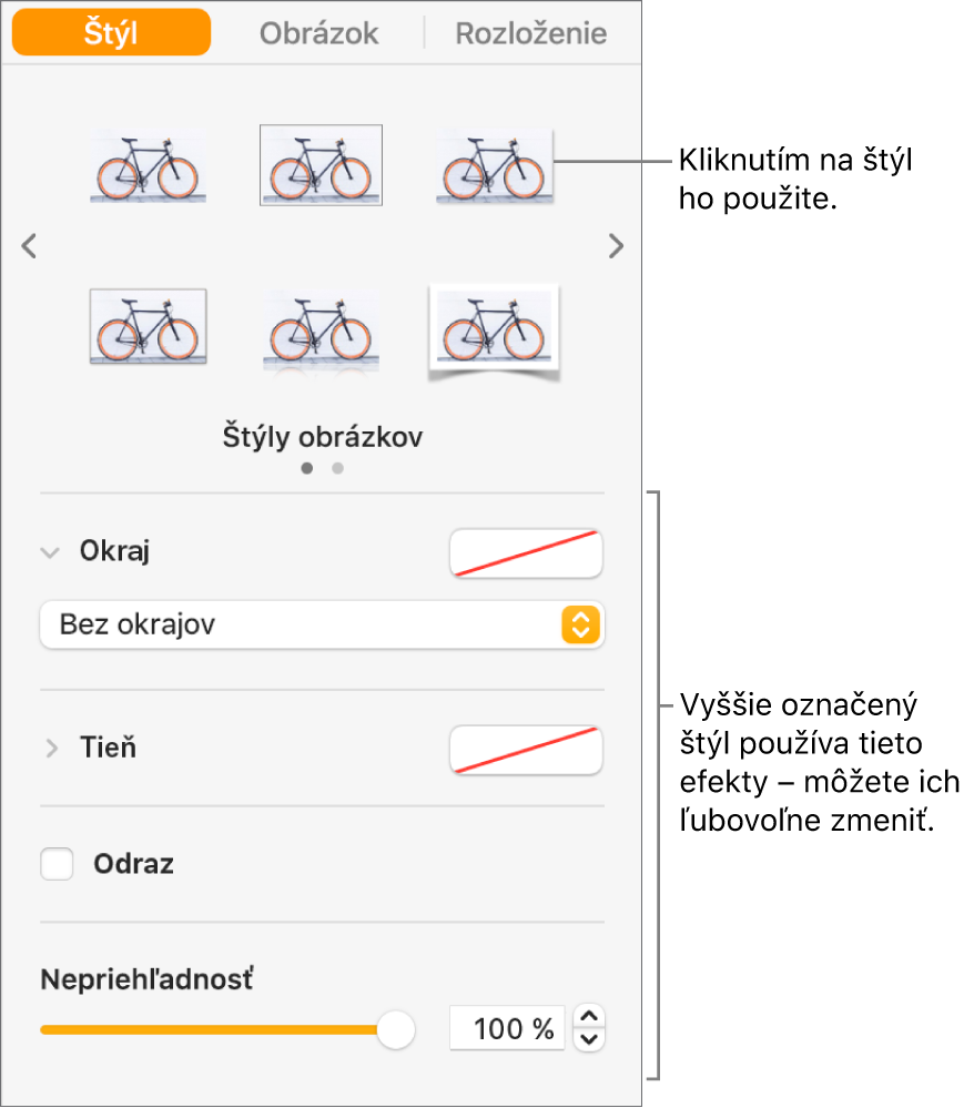 Záložka Štýl na postrannom paneli Formát zobrazujúca možnosti štýlu objektu.
