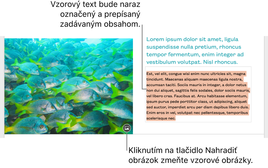 Vzorový text a obrázky.