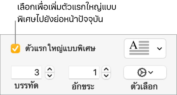 กล่องกาเครื่องหมายตัวแรกใหญ่แบบพิเศษถูกเลือกอยู่ และเมนูที่แสดงขึ้นแสดงทางด้านขวา โดยตัวควบคุมสำหรับการตั้งค่าความสูงของบรรทัด จำนวนอักขระ และตัวเลือกอื่นๆ แสดงอยู่ด้านล่าง