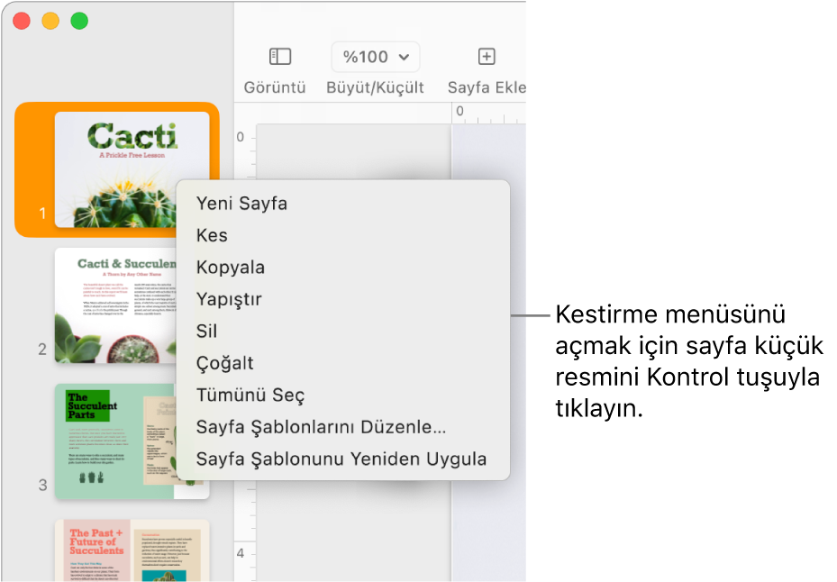 Seçili bir küçük resim ve kestirme menüsü açık olarak Sayfa Küçük Resimleri görüntüsü.