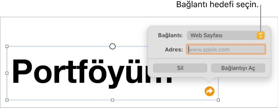 Bağlantı düzenleyici denetimlerinde Web Sayfası seçili, en altta ise Bağlantıyı Sil ve Aç düğmeleri bulunuyor.