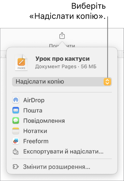 Меню «Поширення», у якому вгорі вибрано елемент «Поширити копію».