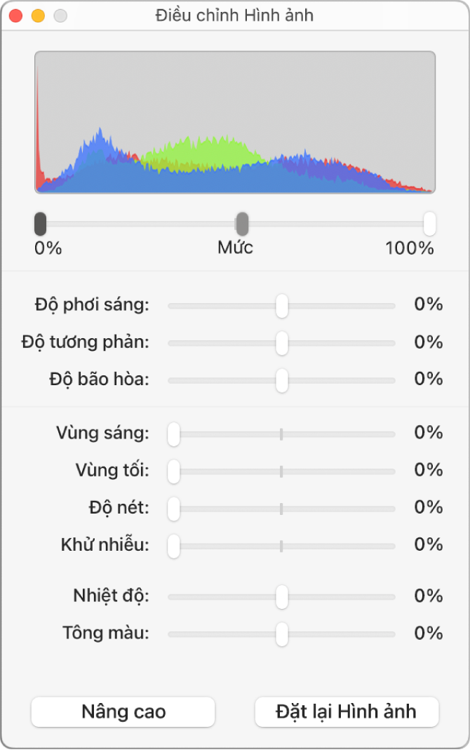 Cửa sổ Điều chỉnh hình ảnh với các thanh trượt để đặt độ phơi sáng, độ tương phản, độ bão hòa, vùng tô sáng, bóng đổ, độ nét, khử nhiễu, nhiệt độ và tông màu.