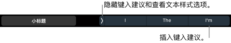 MacBook Pro 触控栏，包含的控制可用于选取文本样式、隐藏键入建议和插入键入建议。