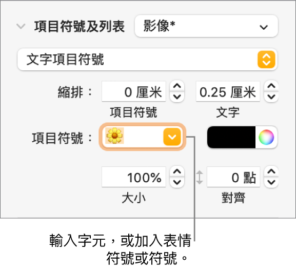 「格式」側邊欄的「項目符號及列表」區域。「項目符號」欄位顯示了花朵的表情符號。