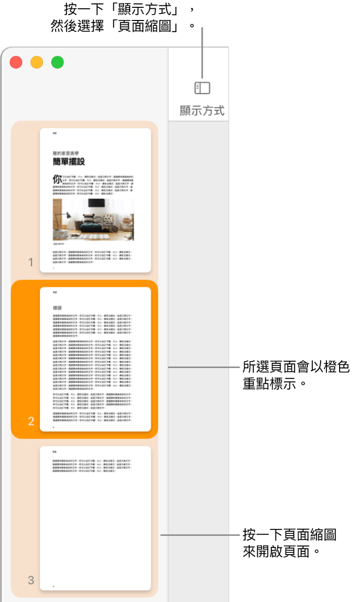 Pages 視窗左側的側邊欄中開啟了「頁面縮圖」顯示方式，所選擇的頁面以深橙色重點標示。