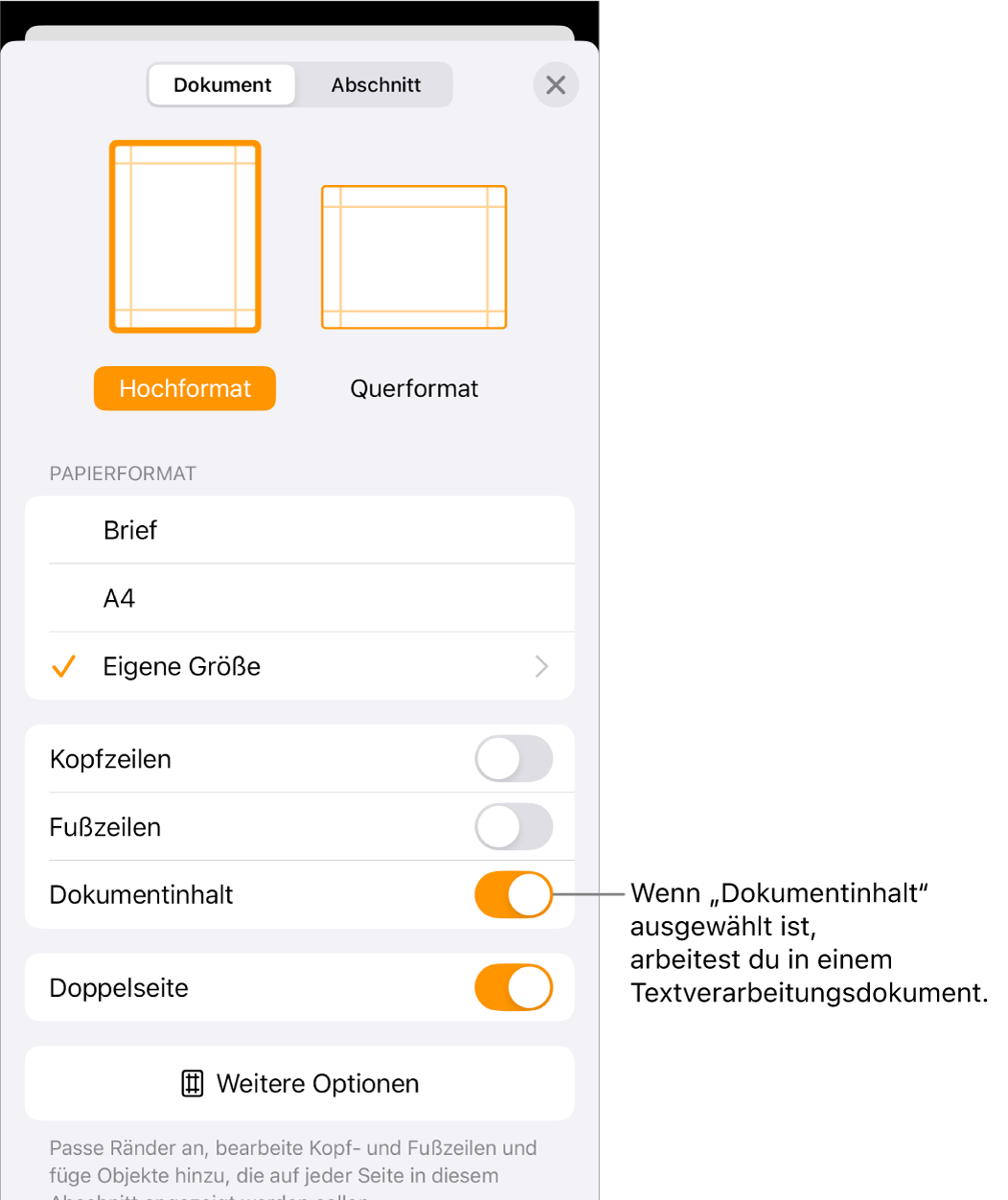 Die geöffnete Dokumentkonfiguration mit dem markierten Feld „Dokumentinhalt“ in einem Textverarbeitungsdokument.