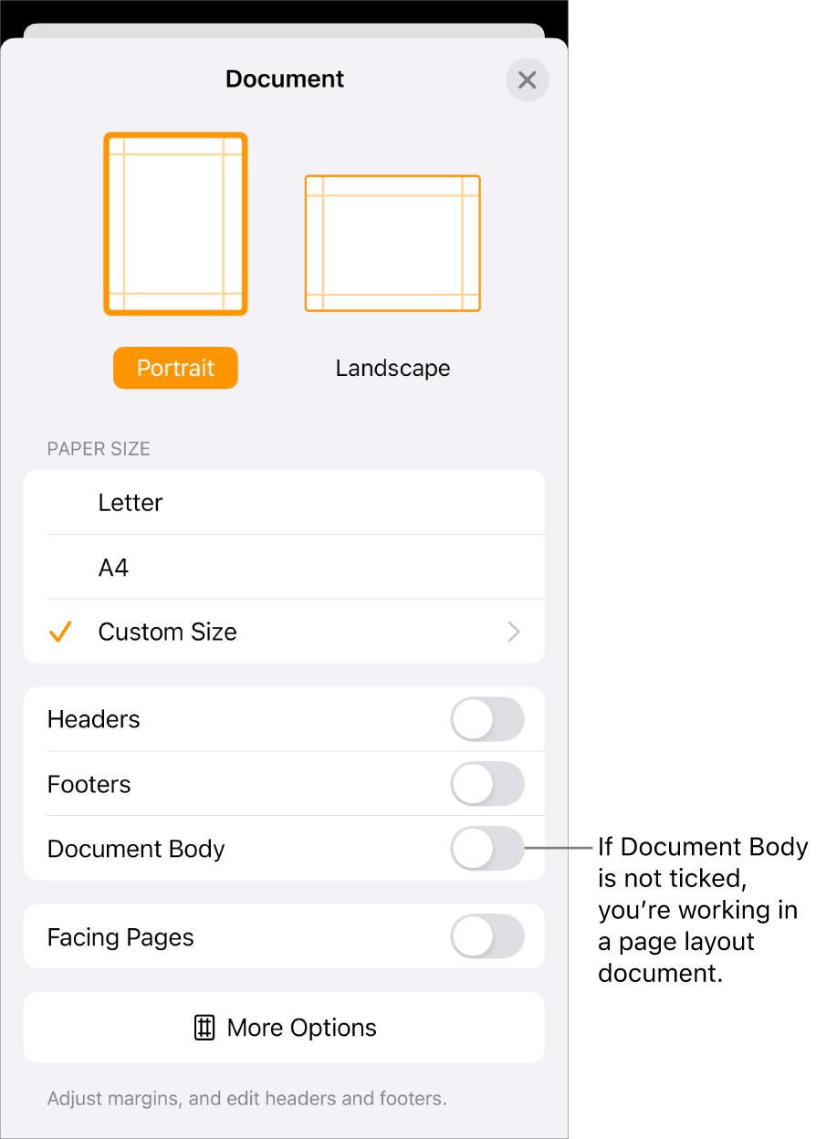 Document Set-Up open with Document Body unticked in a page layout document.