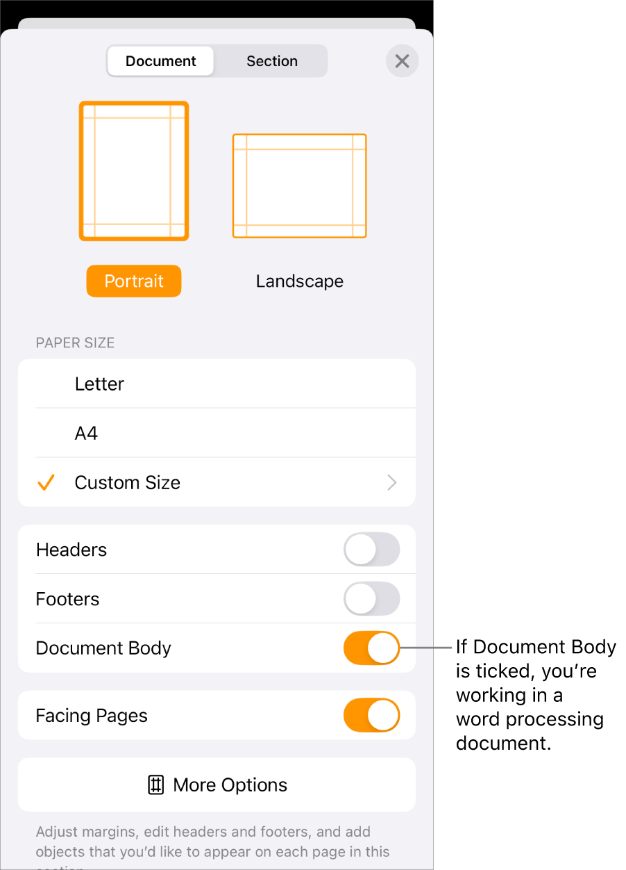 Document Set-Up open with Document Body ticked in a word-processing document.