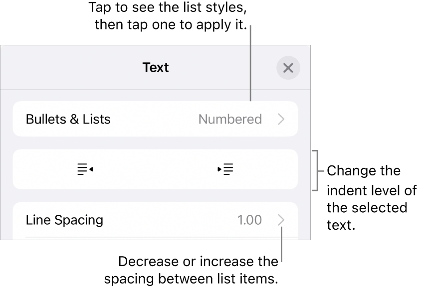 The Bullets & Lists section of the Format controls with callouts to Bullets & Lists, outdent and indent buttons, and line spacing controls.