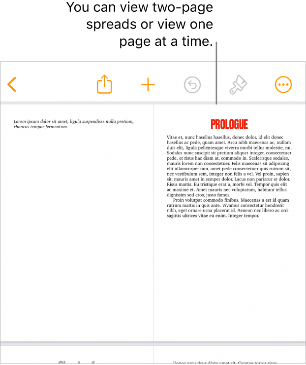 A document with pages viewed as two-page spreads.