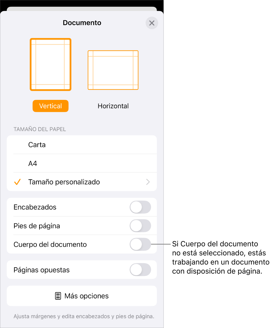 Configuración del documento abierta con la opción Cuerpo del documento no marcada en un documento de disposición de texto.