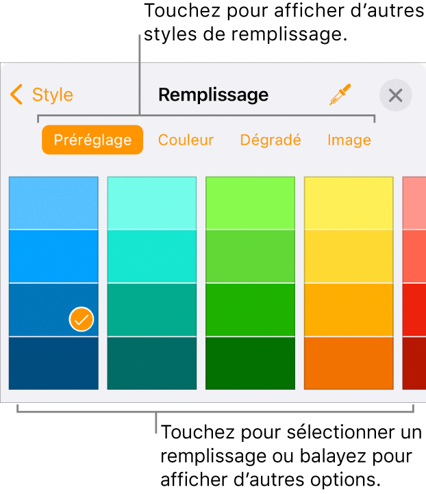 Options de remplissage de l’onglet Style du bouton Format.