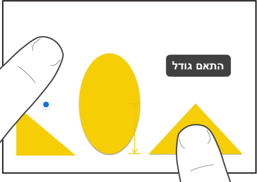 אצבע אחת ממש מעל לצורה ואצבע אחרת מחזיקה אובייקט כאשר המילים ״התאם גודל״ מוצגות על המסך.