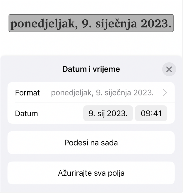 Kontrole za Datum i vrijeme koje prikazuju skočni izbornik za format datuma i tipku Podesi na sada i tipku Ažuriraj sva polja.