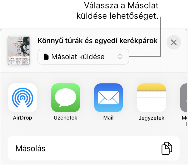 A Megosztás menü a felül elhelyezkedő Másolat küldése lehetőséggel.