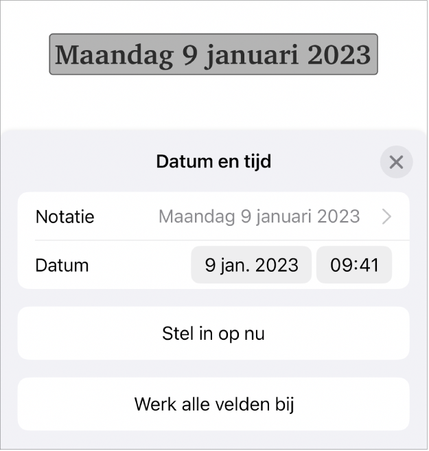 De regelaars voor datum en tijd met een pop‑upmenu voor de datumnotatie en de knoppen 'Stel in op nu' en 'Werk alle velden bij'.