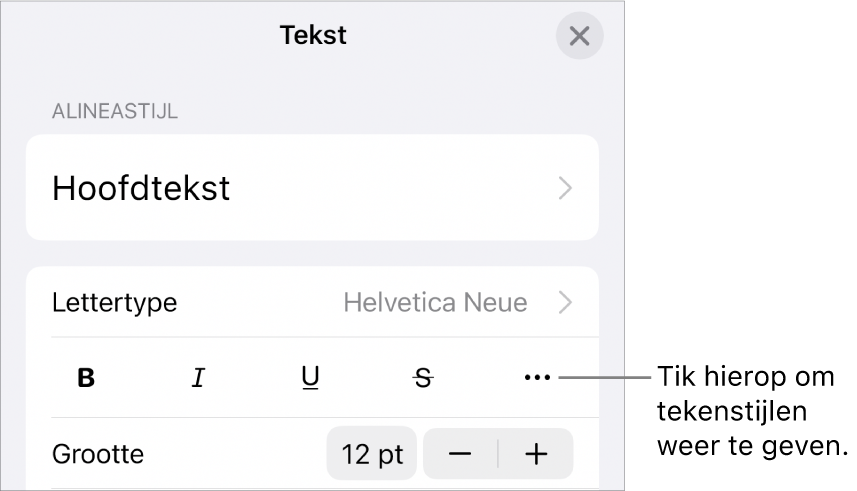 De opmaakregelaars met knoppen voor 'Vet', 'Cursief', 'Onderstreept', 'Doorgehaald' en de knop voor meer tekstopties.