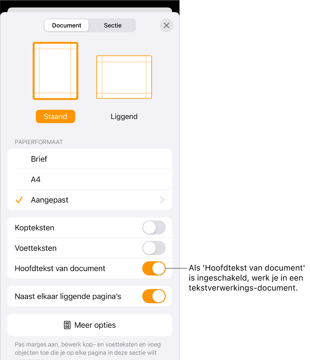 Het paneel 'Documentontwerp' met 'Hoofdtekst van document' ingeschakeld in een tekstverwerkingsdocument.