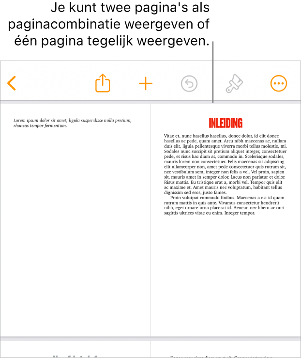 Een document met pagina's weergegeven als paginacombinatie.