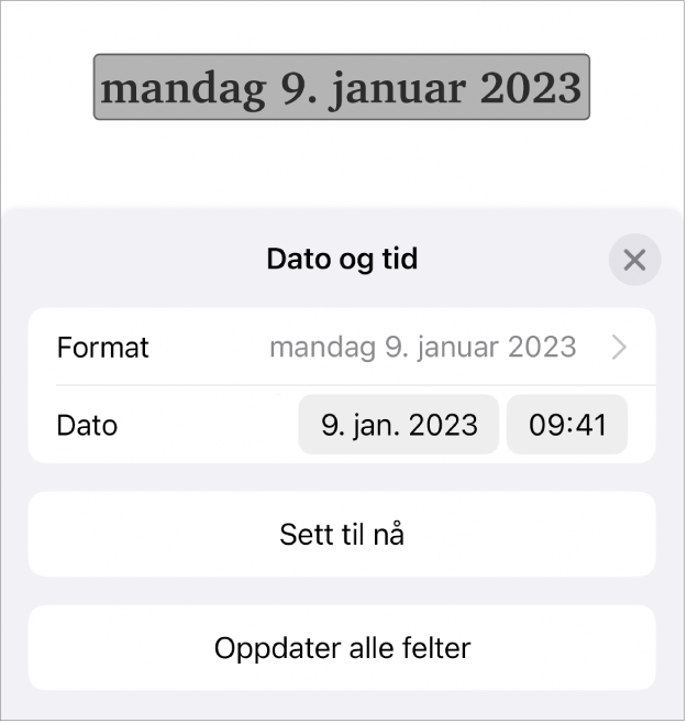 Dato og tid-kontrollene, med en lokalmeny for datoformat, og knappen Sett til nå- og Oppdater alle felter-knapper.