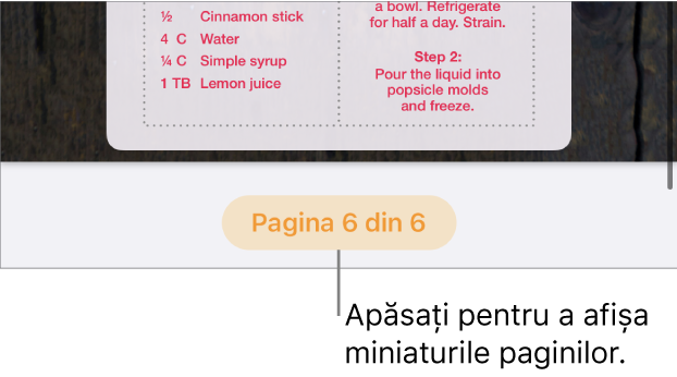 Un document deschis cu butonul pentru numărul de pagini în partea din centru jos a ecranului.