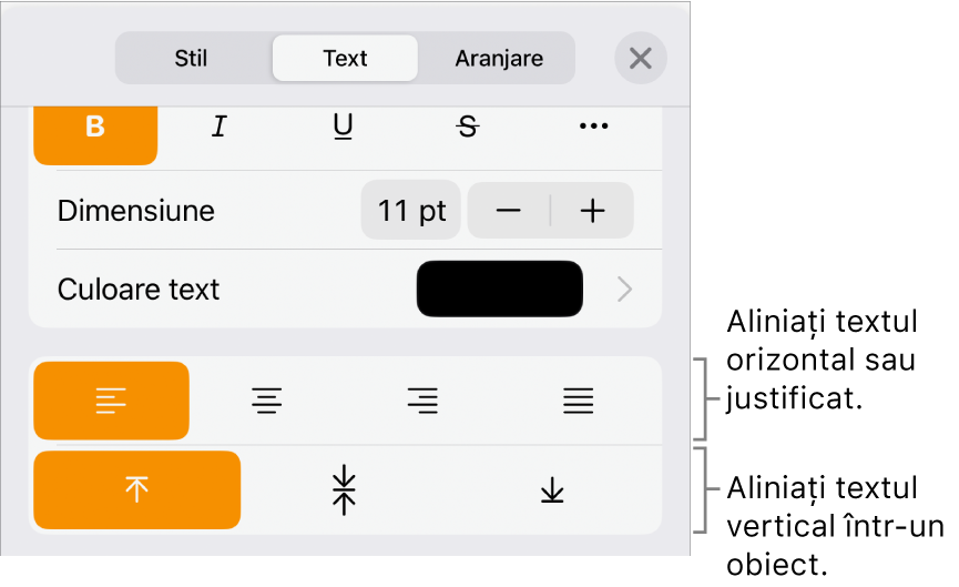Panoul Aranjament cu explicații pentru butoanele de aliniere a textului și de spațiere.