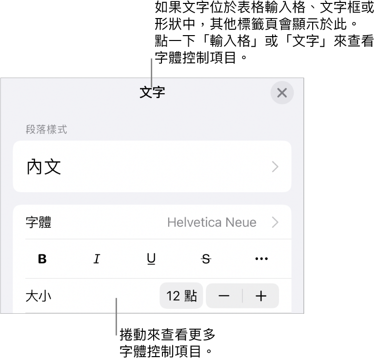 「格式」選單中設定段落及字元樣式、字體、大小和顏色的文字控制項目。