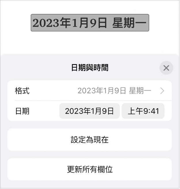 「日期與時間」控制項目，顯示日期的「格式」彈出式選單、「設定為現在」按鈕和「更新所有欄位」按鈕。