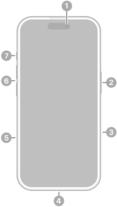 The front view of iPhone 16. The front camera is at the top center. The side button is on the right side. The Lightning connector is on the bottom. On the left side, from bottom to top, are the SIM tray, the volume buttons, and the Action button.