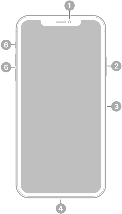 De voorkant van de iPhone 11 Pro Max. De camera aan de voorkant zit bovenaan in het midden. Aan de rechterkant zitten van boven naar beneden de zijknop en de simkaarthouder. De Lightning-connector zit aan de onderkant. Aan de linkerkant zitten van beneden naar boven de volumeknoppen en de schakelaar voor het belsignaal.