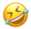 Kahkahalarla güldüm emojisi.