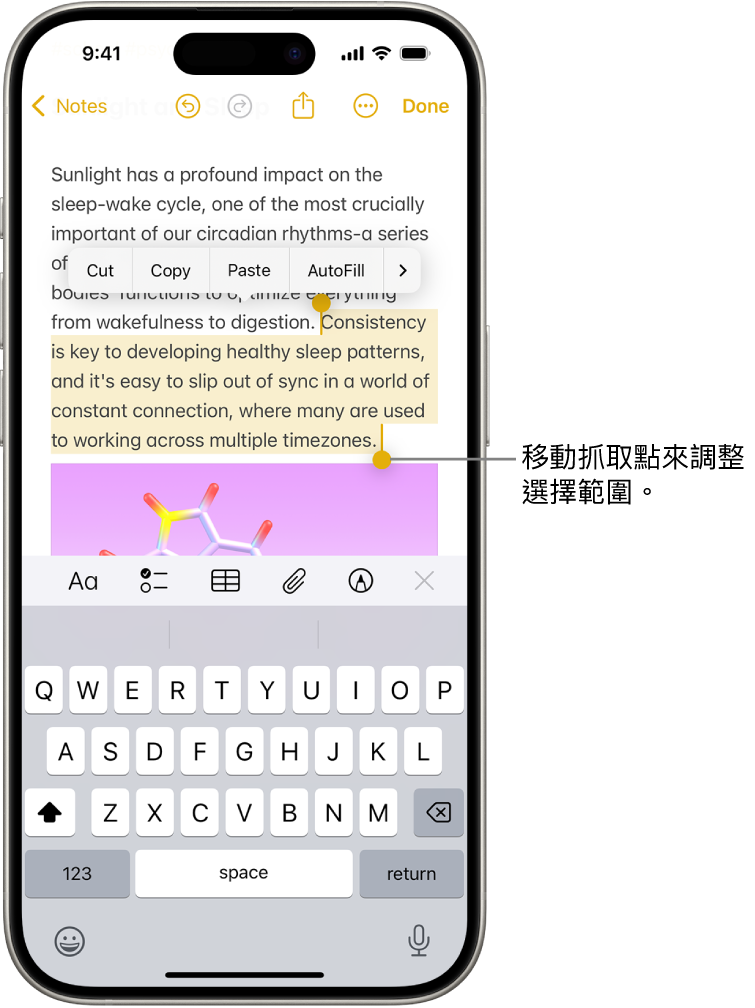 在「備忘錄」App 的備忘錄中選取的文字。所選文字上方為「剪下」、「複製」、「貼上」以及「自動填寫」按鈕。系統會重點標示所選文字，而且兩端會帶有可調整選取範圍的控點。