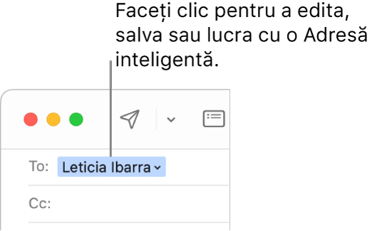 O Adresă inteligentă cu săgeata pe care puteți da clic pentru editare, salvare, sau lucrul cu o Adresă inteligentă.