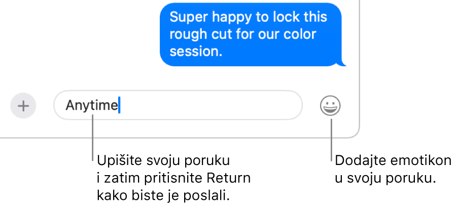 Transkript u prozoru Poruka s prikazom polja poruke na dnu prozora.