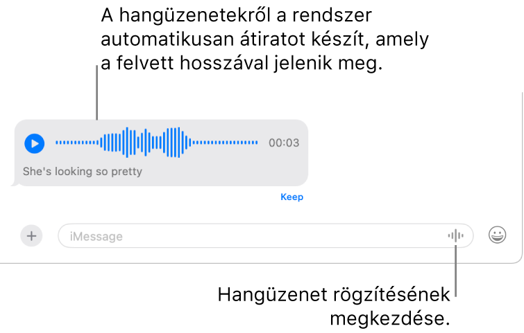 Egy Üzenetek-beszélgetés, amelyben az üzenetmező mellett a Hang rögzítése gomb látható az ablak alján. Hangüzenet jelenik meg a beszélgetésben az átirattal és a felvétel hosszával együtt.