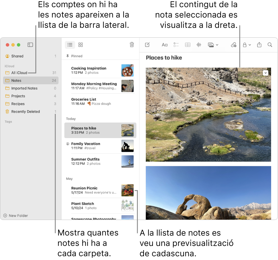 Una finestra de l’app Notes del Mac que mostra tots els teus comptes i carpetes configurats a la barra lateral de l‘esquerra, la llista de notes al centre (amb una previsualització de cada nota) i el contingut de la nota seleccionada a la dreta. El nombre de notes es mostra al costat de cada carpeta.