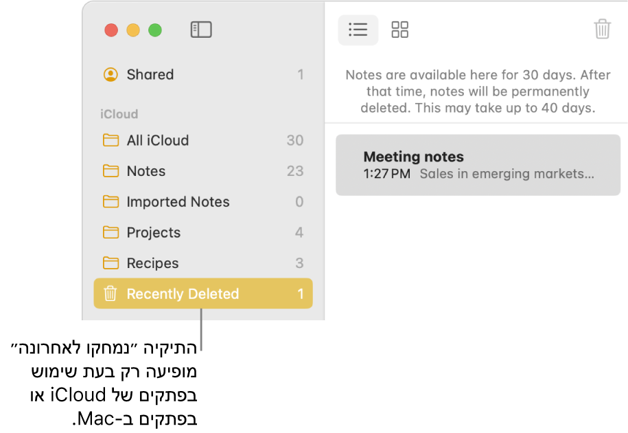 החלון ״פתקים״ עם התיקיה ״נמחקו לאחרונה״ בסרגל הצד ועם פתק שנמחק לאחרונה. אם תשתמש/י בפתקי iCloud או בפתקים המאוחסנים ב‑Mac, תראה/י רק את תיקיית ״נמחקו לאחרונה״.