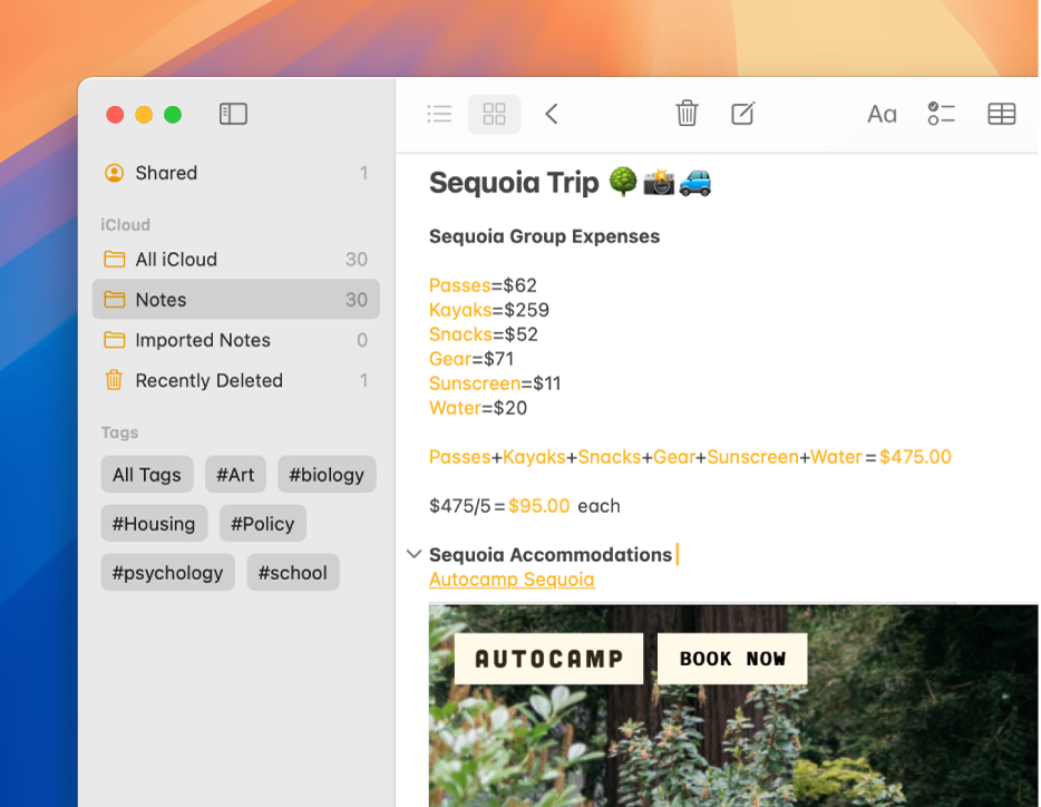 Mac पर नोट्स ऐप की एक क्रॉप की गई विंडो जिसमें कई ख़र्चे दिखाए गए हैं—जिसमें पास, कयाक, सनस्क्रीन और पानी शामिल हैं। यह नोट जोड़ और भाग की समस्याओं को ऑटोमैटिकली इनलाइन हल करता है।