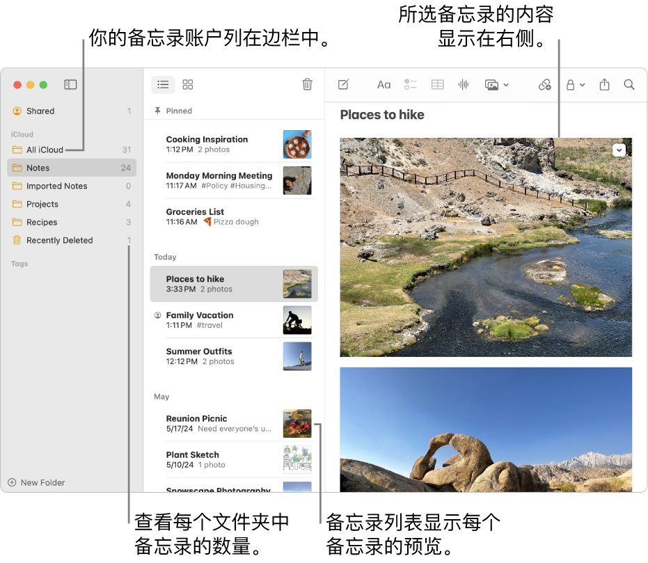 Mac 上的“备忘录” App 窗口，左侧边栏列出了所有已配置的账户和文件夹，中间的备忘录列表显示各个备忘录的预览，右侧显示所选备忘录的内容。备忘录的数量显示在每个文件夹旁边。