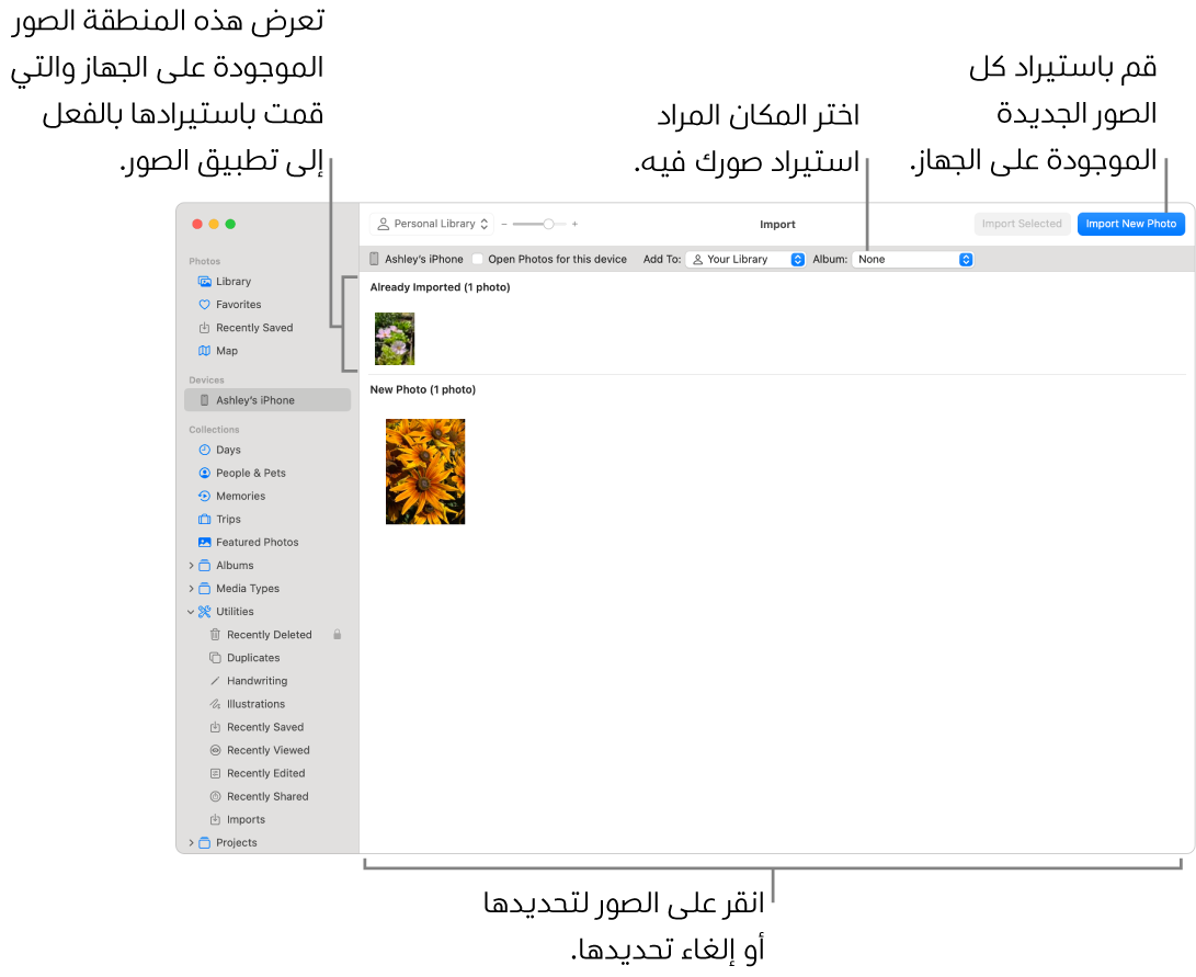 الصور التي قمت باستيرادها من الجهاز بالفعل تظهر في الجزء العلوي من نافذة الاستيراد؛ والصور الجديدة في الجزء السفلي. في منتصف الجزء العلوي تظهر القائمة المنبثقة "ألبوم". أزرار الاستيراد موجودة في أعلى اليسار.