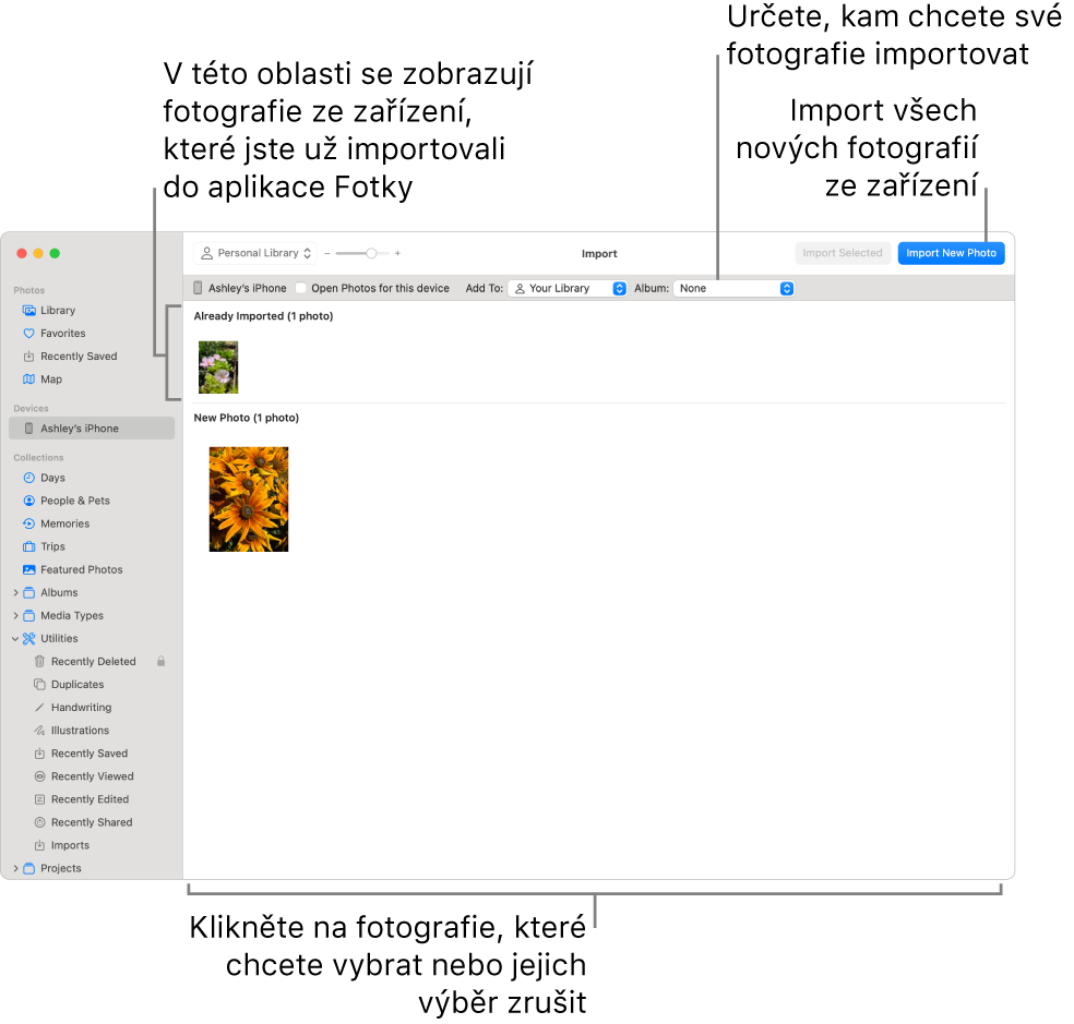 U horního okraje okna Import se zobrazují fotky na zařízení, které jste už importovali. Dole se zobrazují fotky nové. Nahoře uprostřed je místní nabídka Album. Tlačítka importu se nacházejí vpravo nahoře