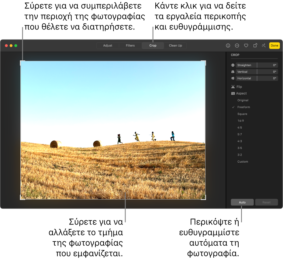 Μια φωτογραφία σε προβολή επεξεργασίας, με την «Περικοπή» επιλεγμένη στη γραμμή εργαλείων, ένα ορθογώνιο επιλογής γύρω από τη φωτογραφία, και  ρυθμιστικά ισιώματος, επιλογές αναλογίας διαστάσεων, και κουμπιά «Αυτόματα» και «Επαναφορά» στα δεξιά.