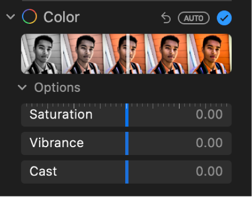 The Colour area of the Adjust pane showing sliders for Saturation, Vibrance and Cast.