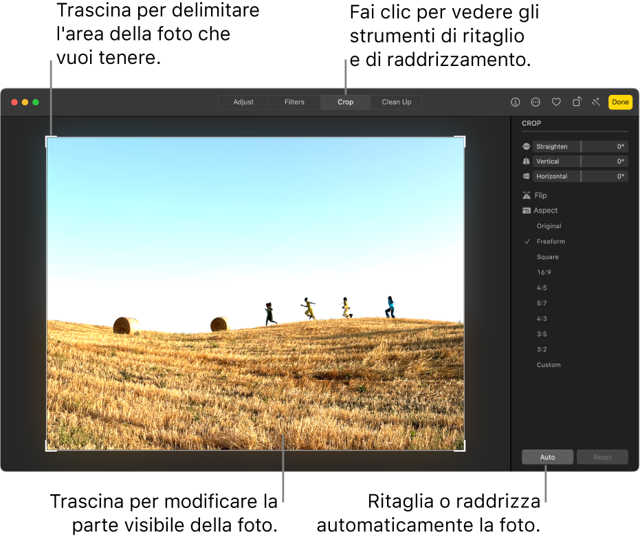 Una foto nella vista di modifica, con l’opzione Ritaglia selezione nella barra strumenti, un rettangolo di selezione attorno alla foto e i cursori di raddrizzamento, le opzioni delle proporzioni e i pulsanti Automatico e Ripristina a destra.