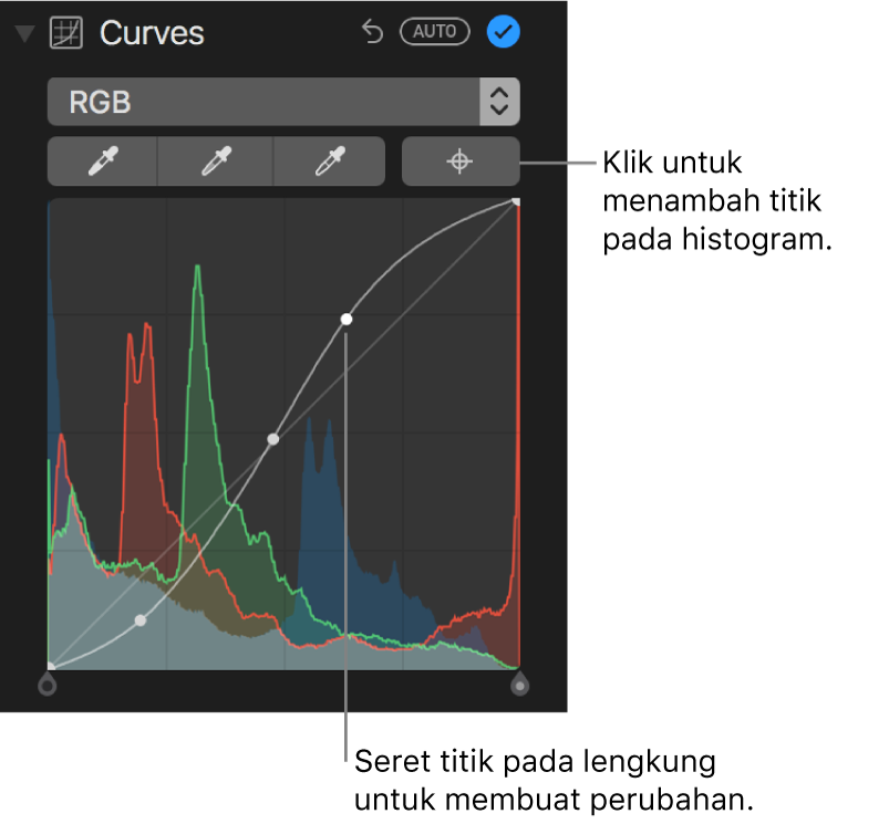 Kawalan Lengkung dalam anak tetingkap Laras, menunjukkan butang Tambah Titik di bahagian kanan atas dan histogram RGB di bawah.